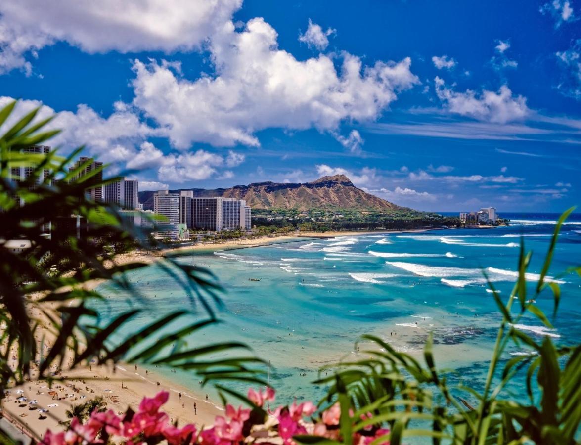 Cozy Waikiki Getaway, Stroll To Beach With Free Parking 檀香山 外观 照片